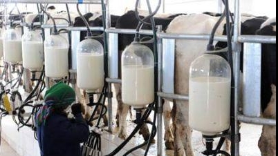 Industria laptelui