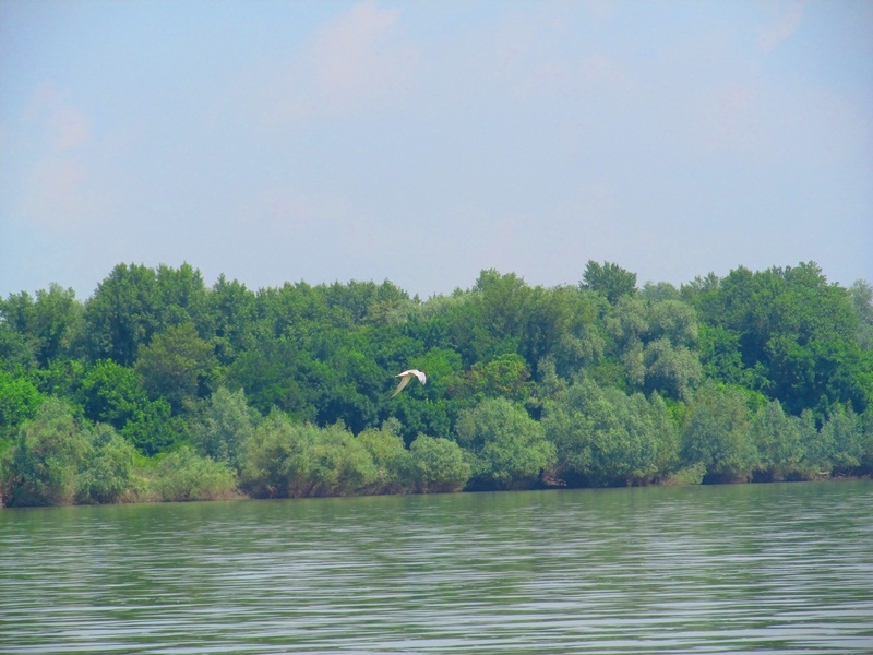 Dunărea la Giurgiu