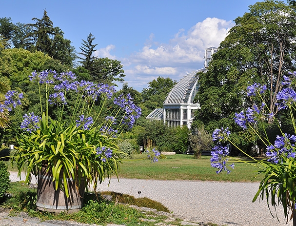 Gradina Botanica Geneva
