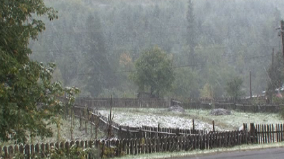 Zăpadă în Neamț
