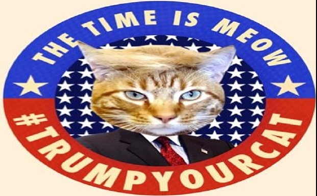 Trump your cat