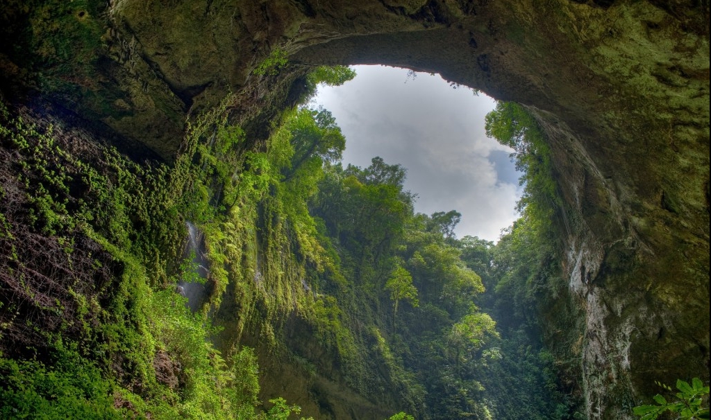 Rezervaţia El Yunque Puerto Rico