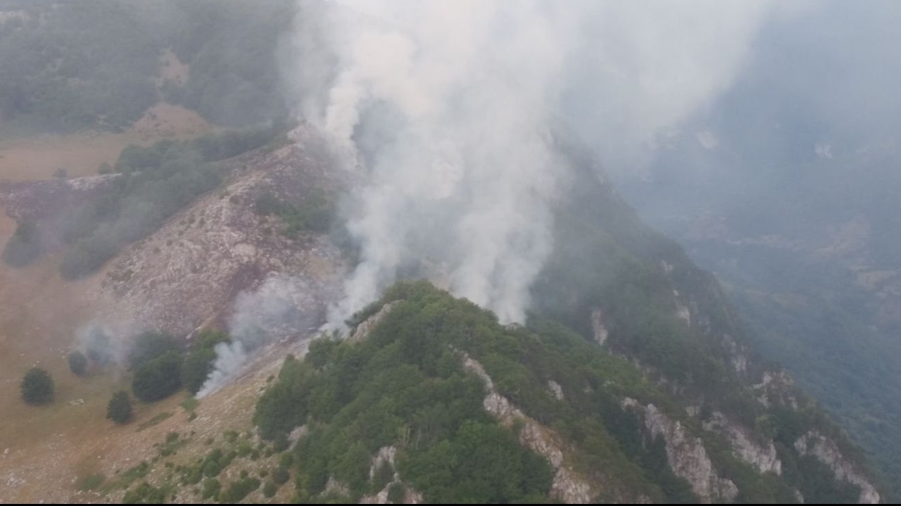 Incendiu în Parcul Național Domogled