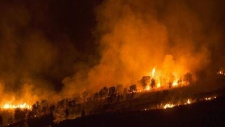 Incendiu intr-un parc din Brazilia