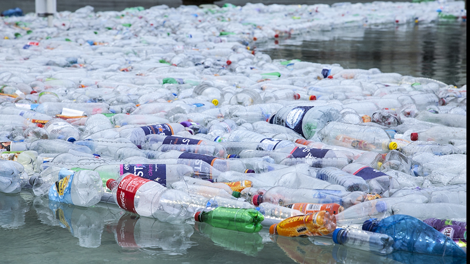 Anual peste 8 milioane de tone de produse plastice ajung în oceane