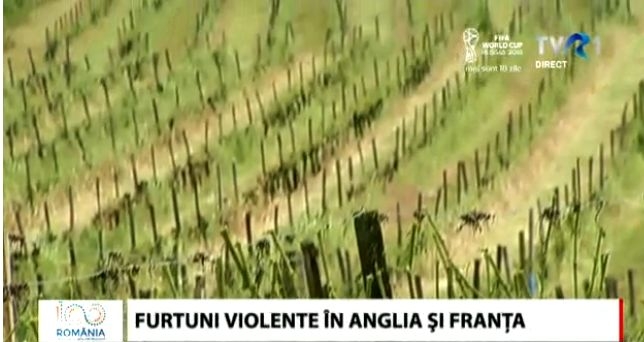 Recolte distruse în Franța