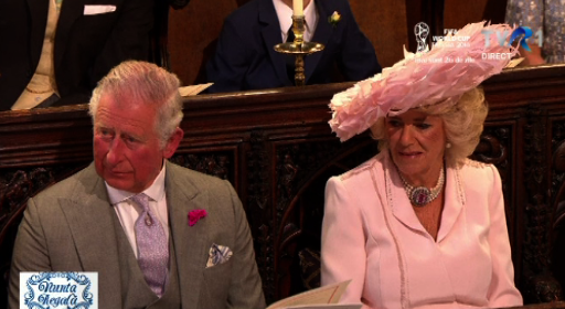 Prințul Charles și soția sa Camilla