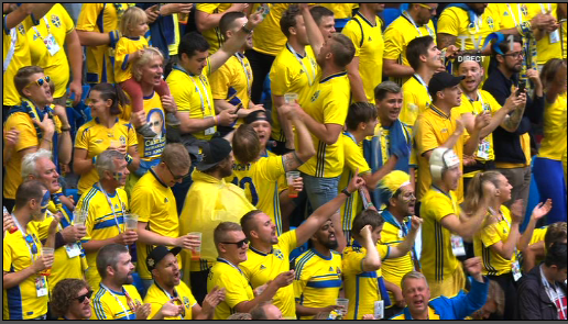 Suporteri suedezi