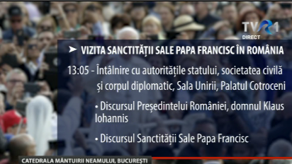 Programul de vineri al Papei Francisc