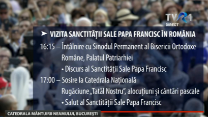 Programul de vineri al Papei Francisc