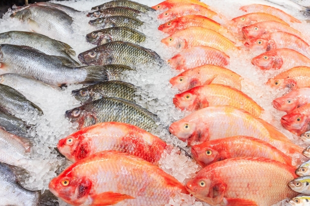 Pește în hypermarket