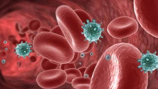 Celulele canceroase luptă împotriva chimioterapiei