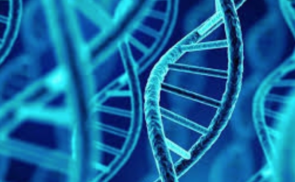 Identificat cu test ADN