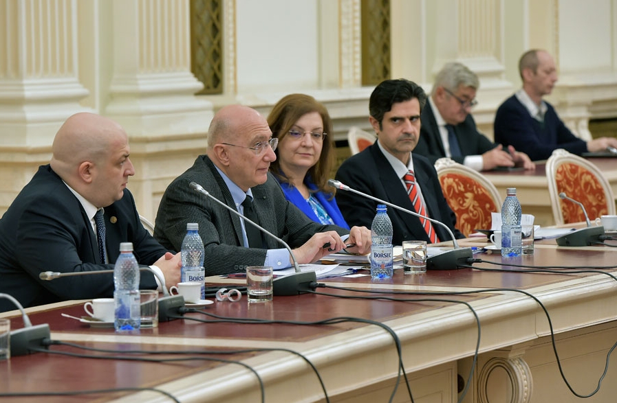 Radu Ioanid la audierea în comisiile parlamentare