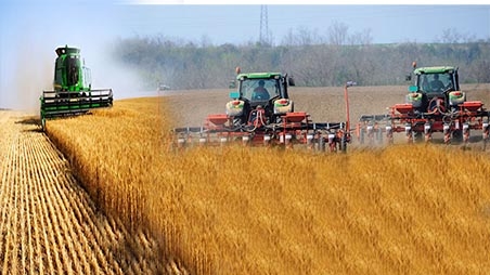 Cereale agricultura culturi