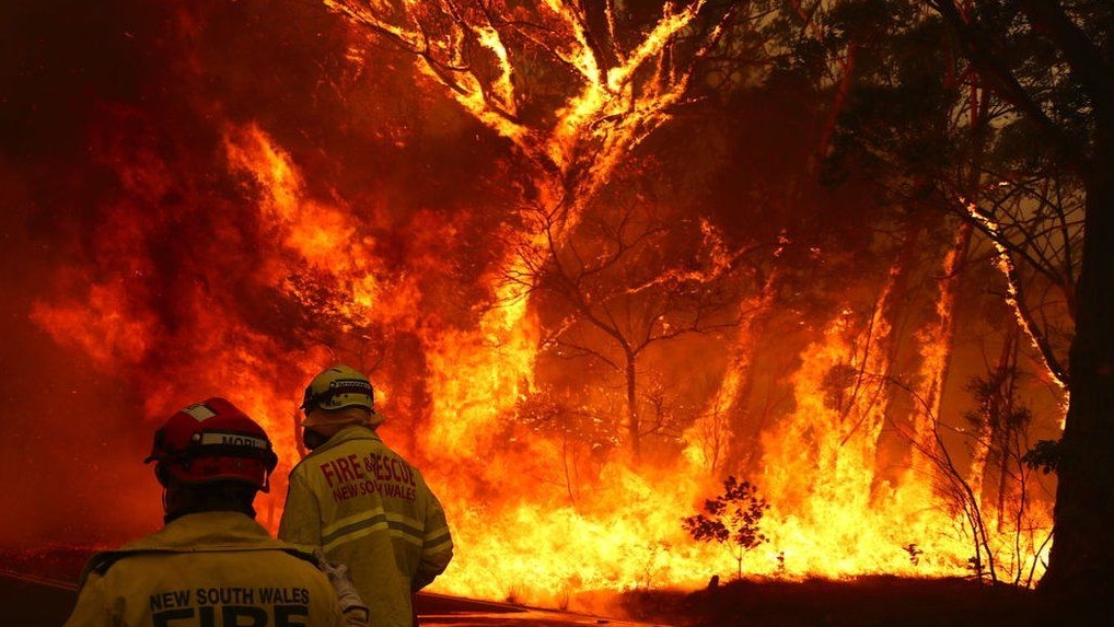 Australia incendii păduri