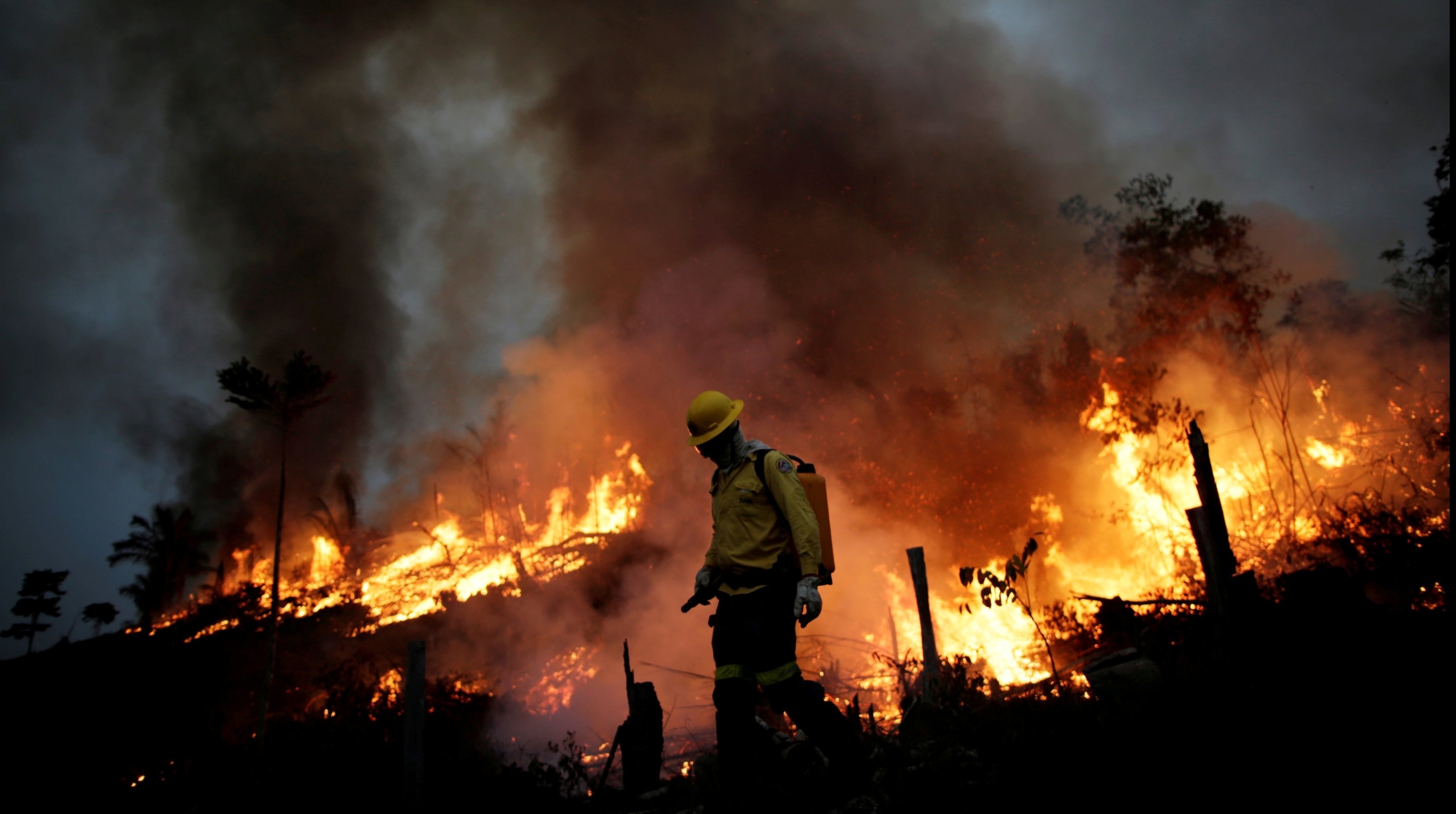 Amazonia incendii