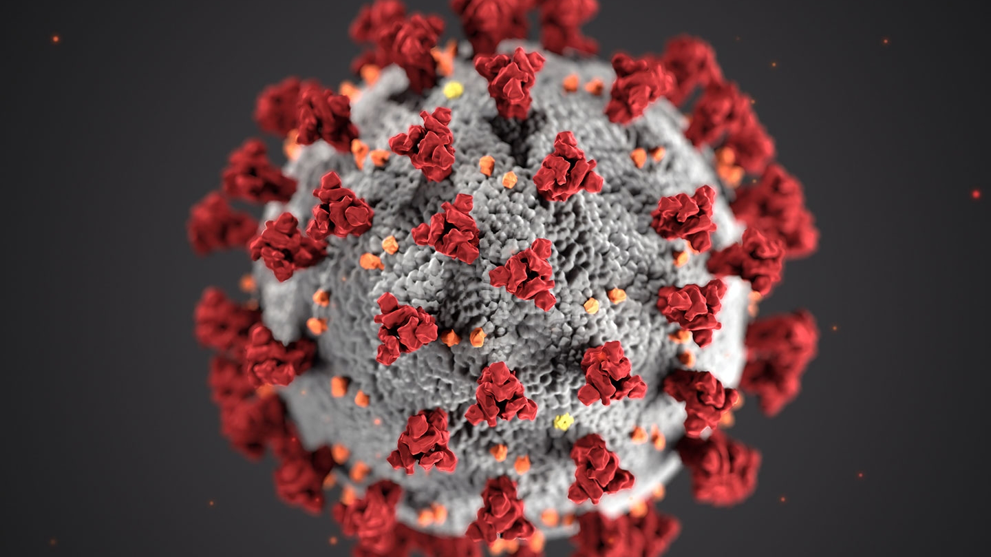 OMS: Ritmul transmiterii coronavirusului în Europa este