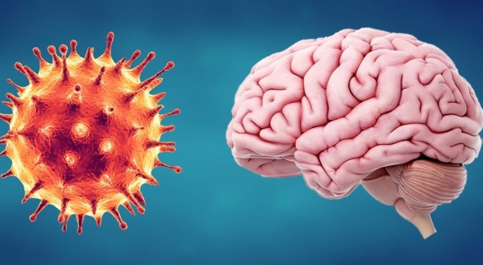 Noul coronavirus poate să invadeze creierul