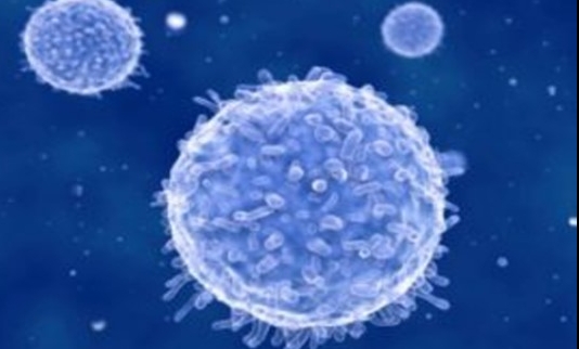 Imunitatea și celulele T