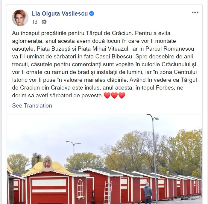 Lia Olguța Vasilescu pe Facebook