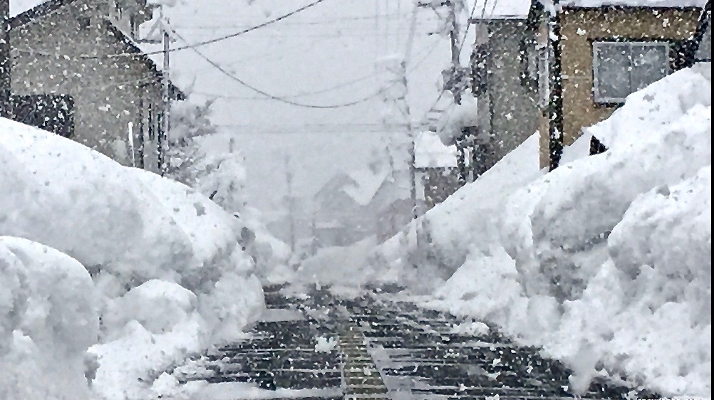 Japonia zăpadă