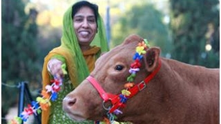 	India va organiza un examen naţional având ca temă ''ştiinţa vacii''