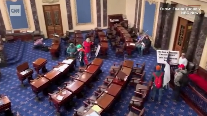 Protestatari în sala Senatului