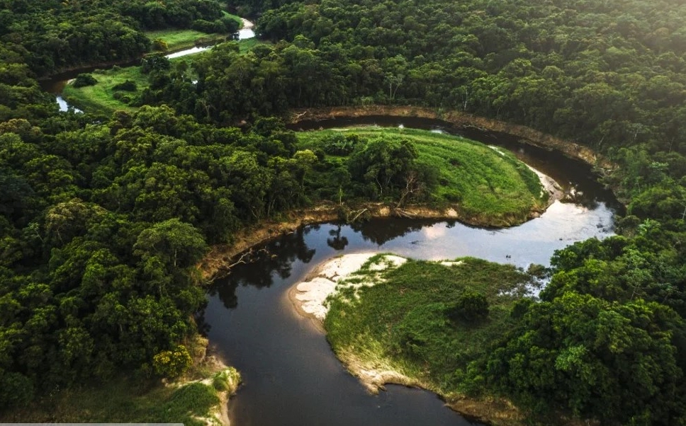 Amazonia braziliană