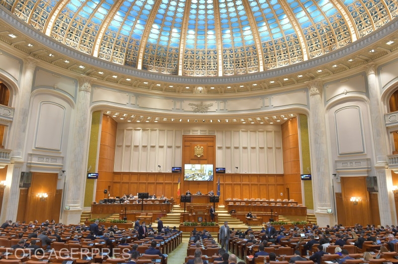 Ședință de plen - Camera Deputaților Parlament