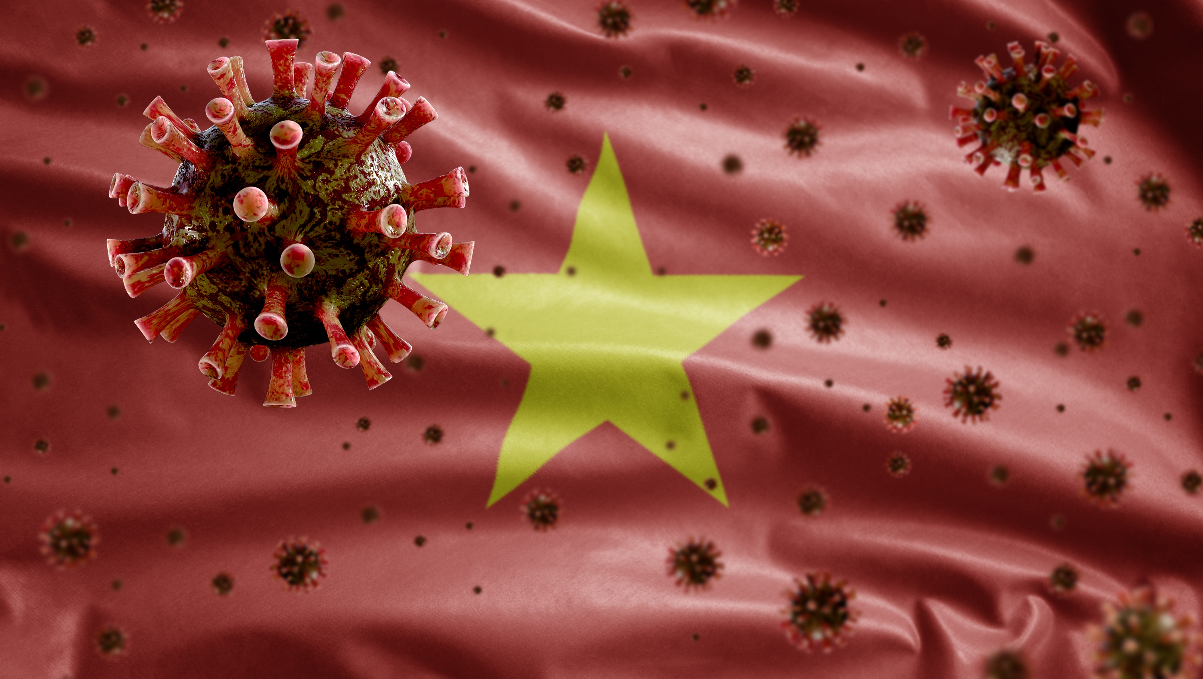 Vietnam coronavirus