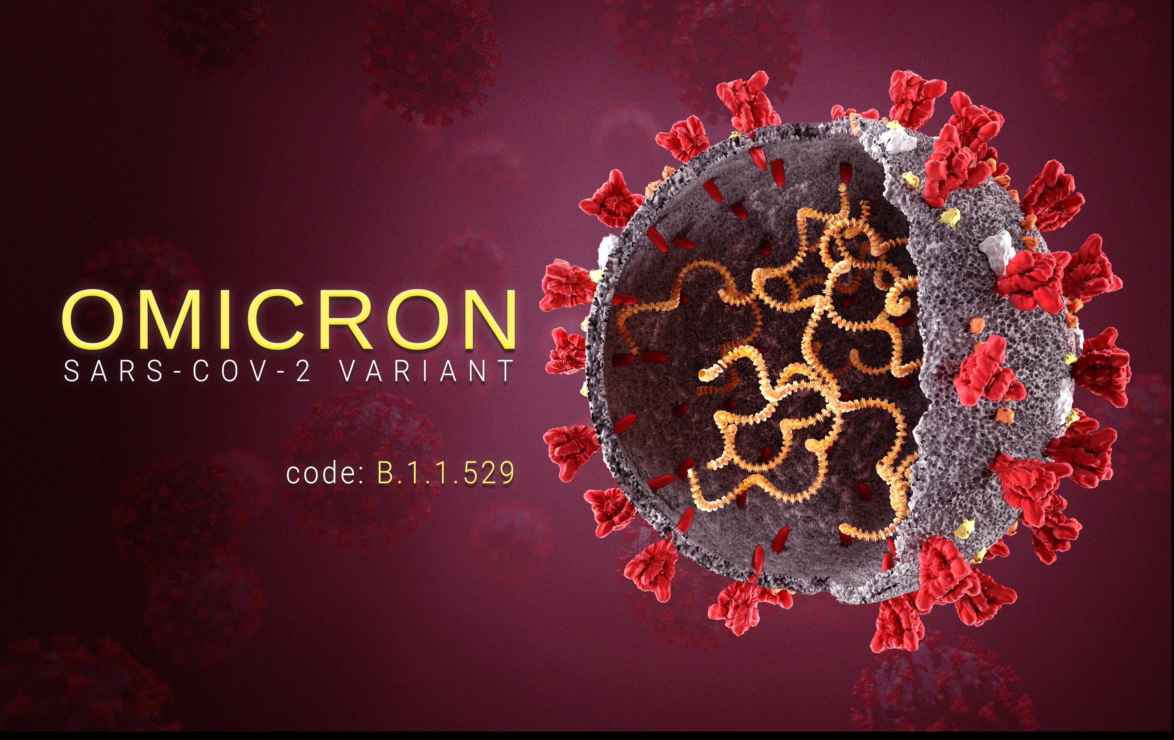 Varianta Omicron Coronavirus