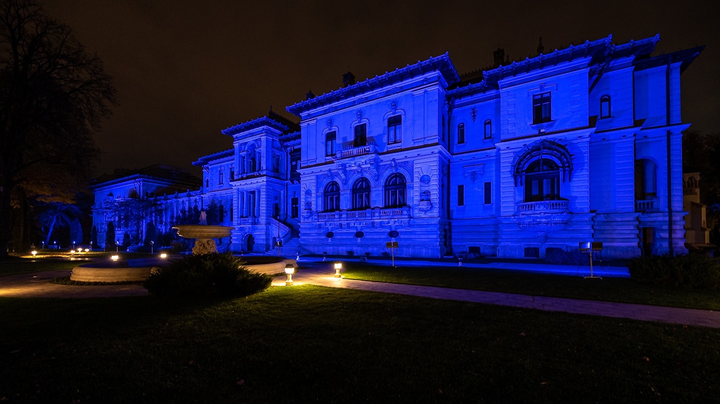 Palatul Cotroceni iluminat în albastru