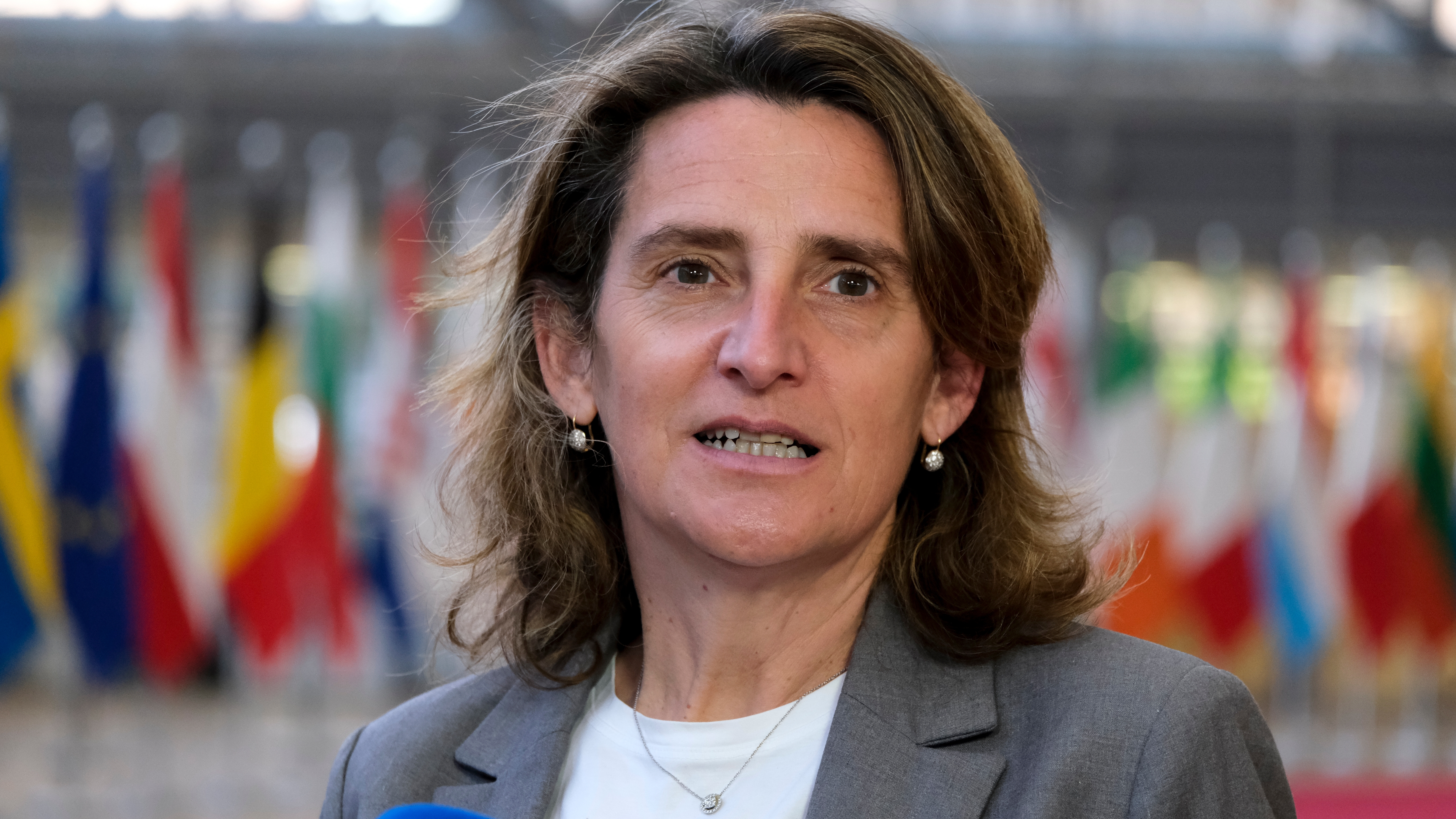 Ministrul Energiei din Spania Teresa Ribera