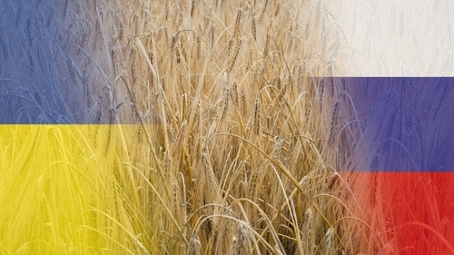 Rusia - Ucraina cereale