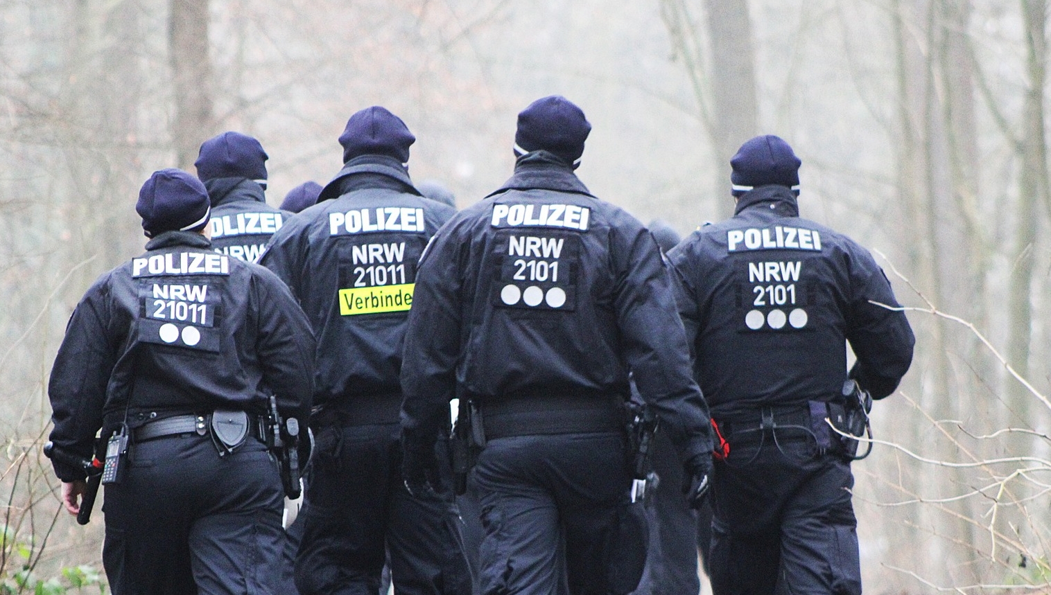 44 de arestări într-una dintre cele mai periculoase reţele criminale din UE / Pixabay