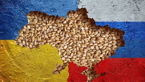 Rusia - Ucraina cereale