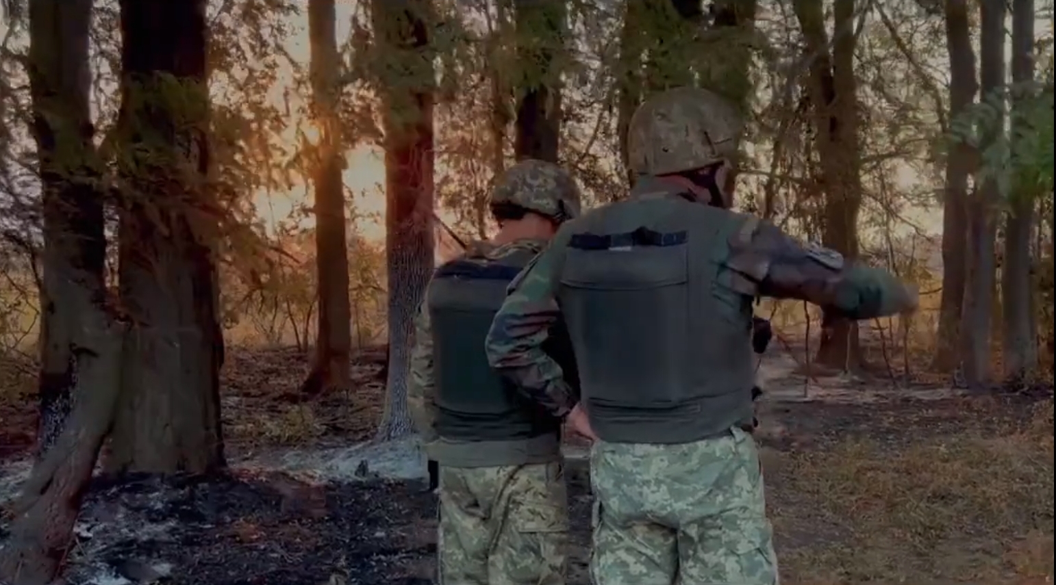 Pădure din regiunea Sumî distrusă de foc în urma bombardamentelor rusești