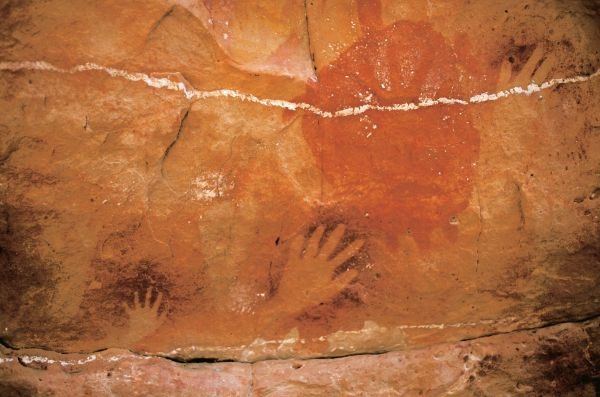 Desen rupestru din Peștera Koonalda