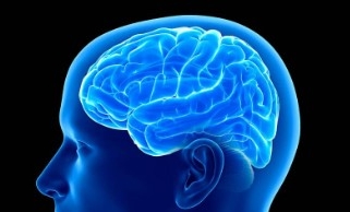Infecţiile streptococice și influneța asupra creierului