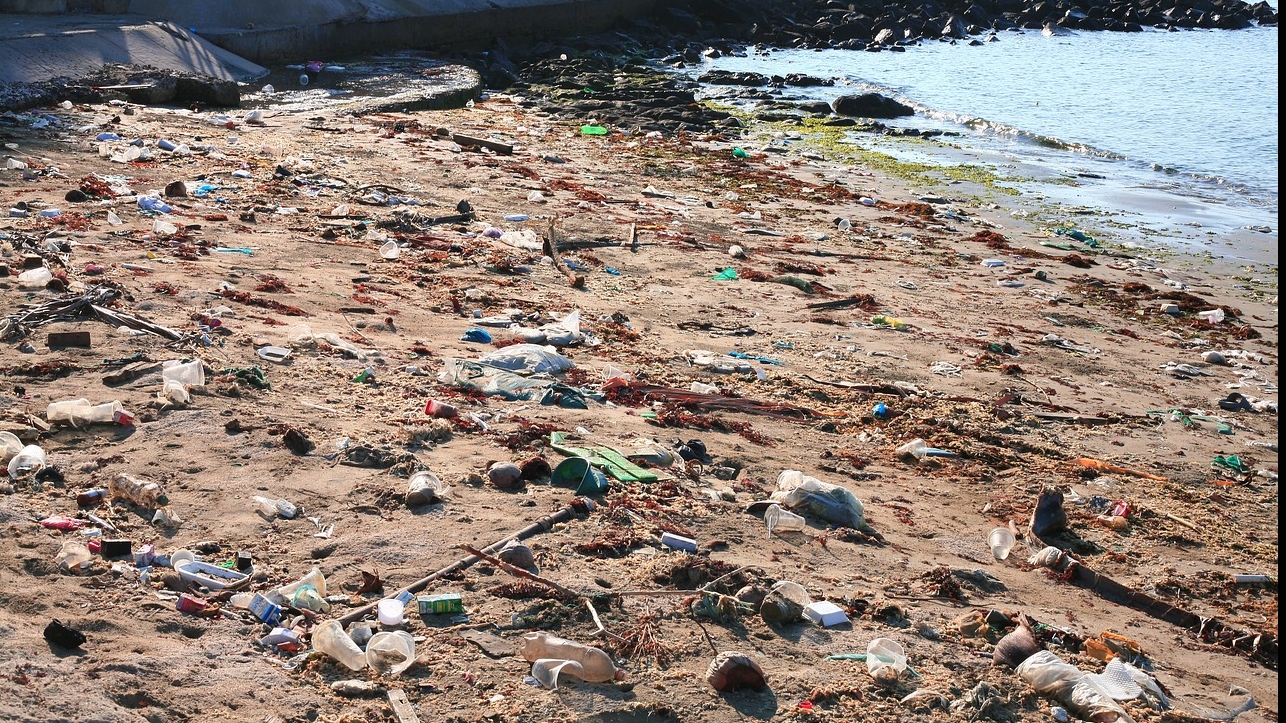 Poluare cu plastic în ocean / Pixabay
