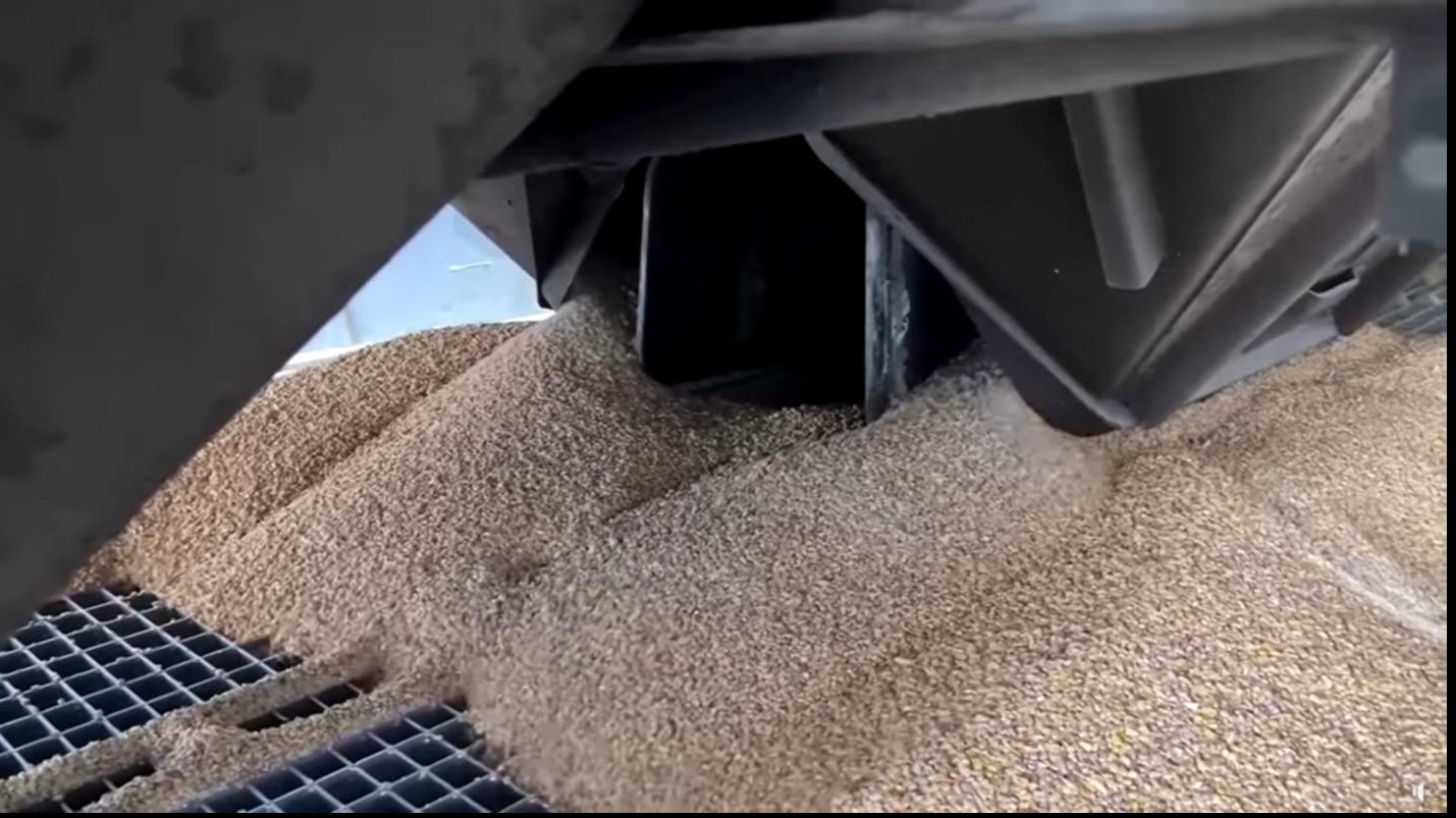 Cereale importate din Ucraina / captura video